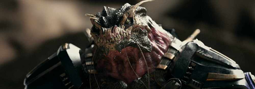 headCloseup