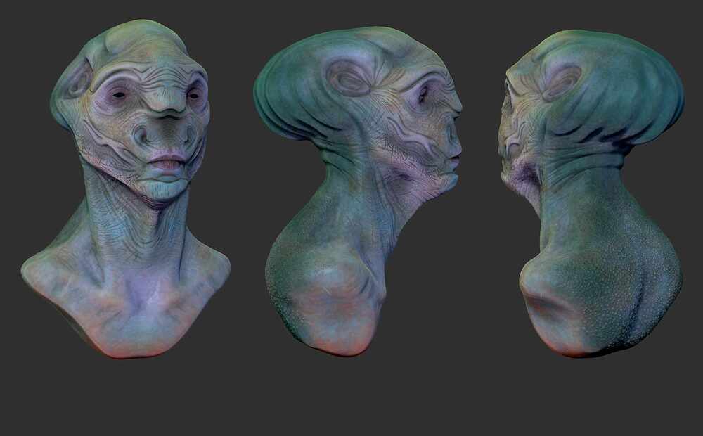 Gourd Alien JPad 2021_Views