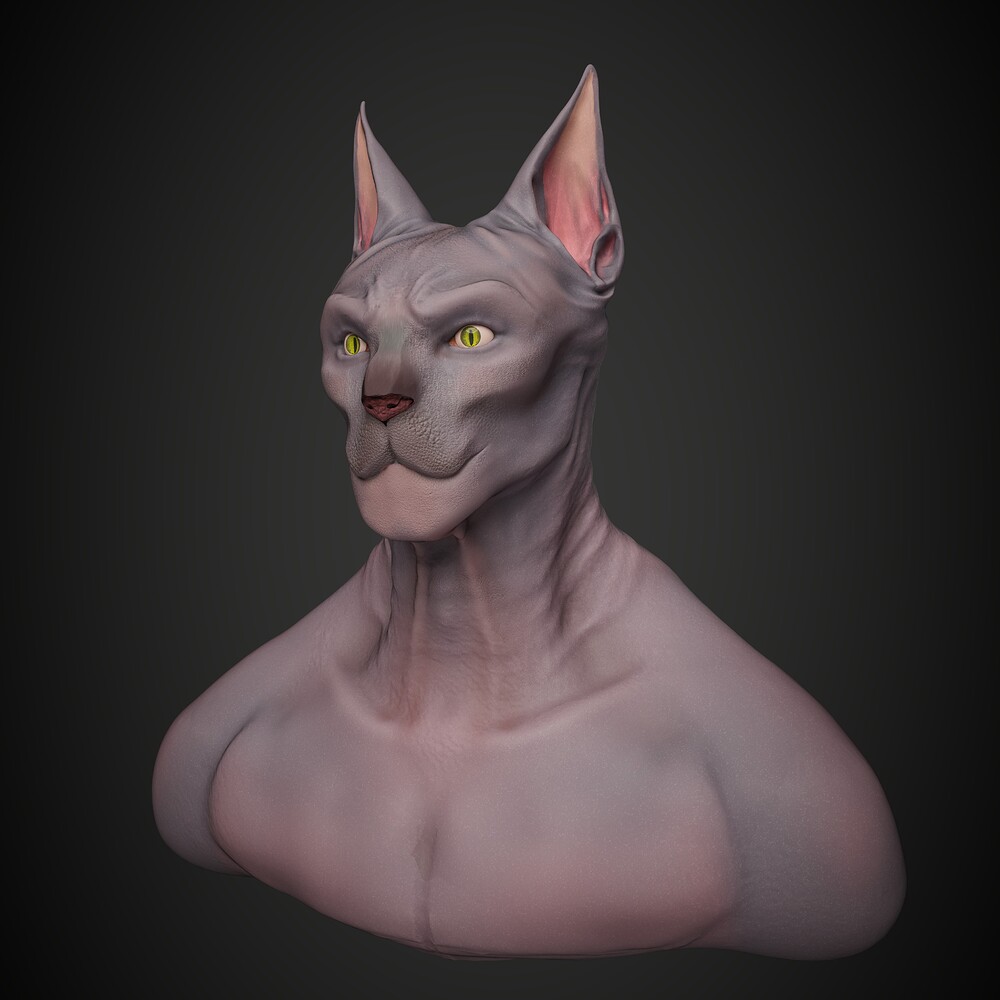 cat left