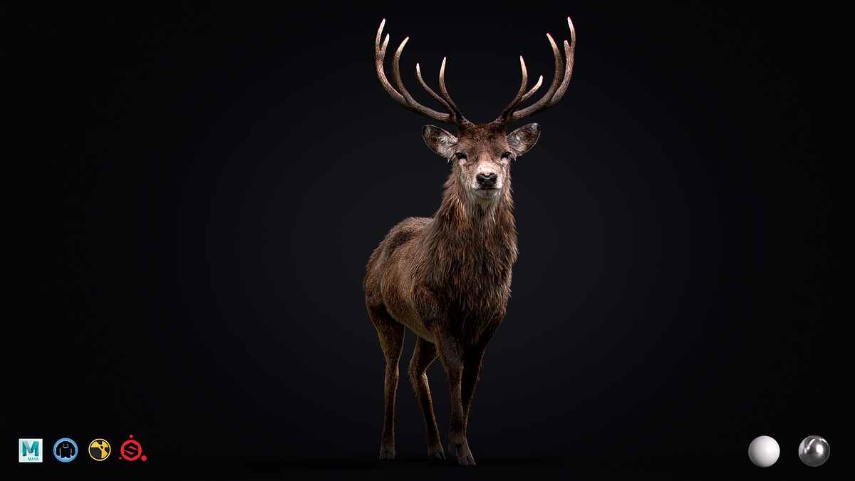 art_05