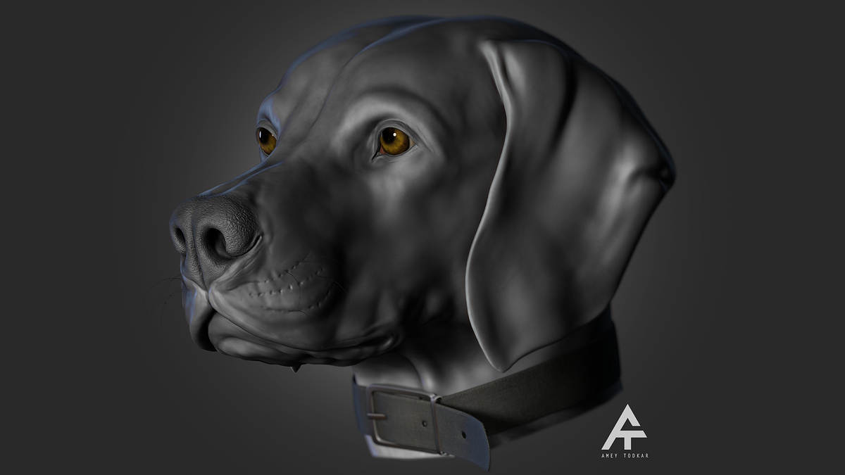 doggo_03