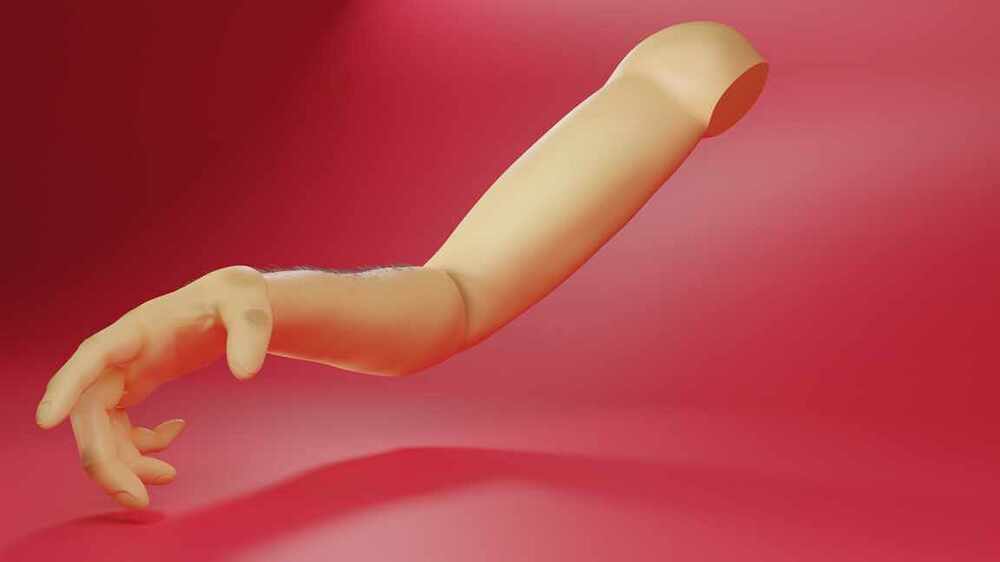 arm study2