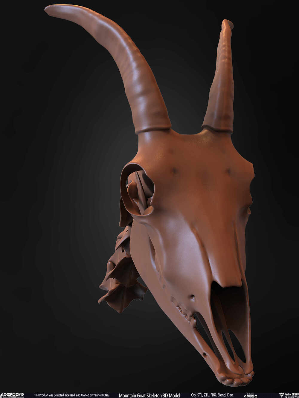 Mountain Goat Skeleton 3D Model Sculpted by Yacine BRINIS Set 030