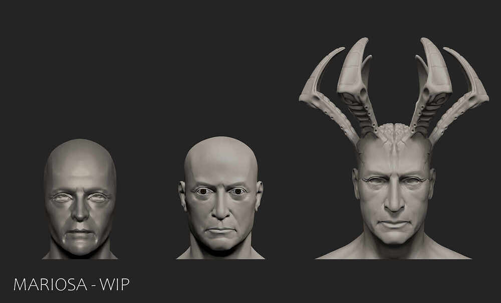 Wip_Head