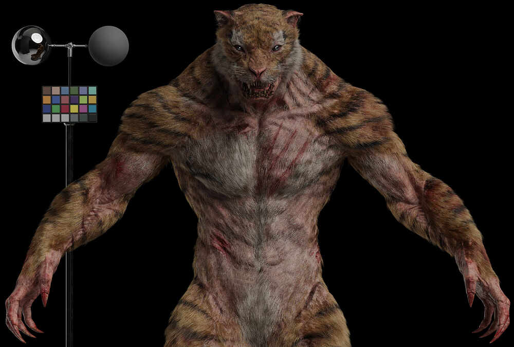 lookdev 3 pd