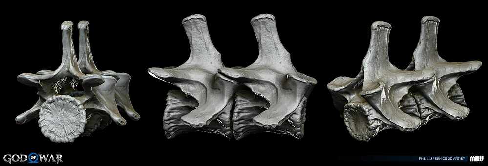 Bone4_cervical copy 2