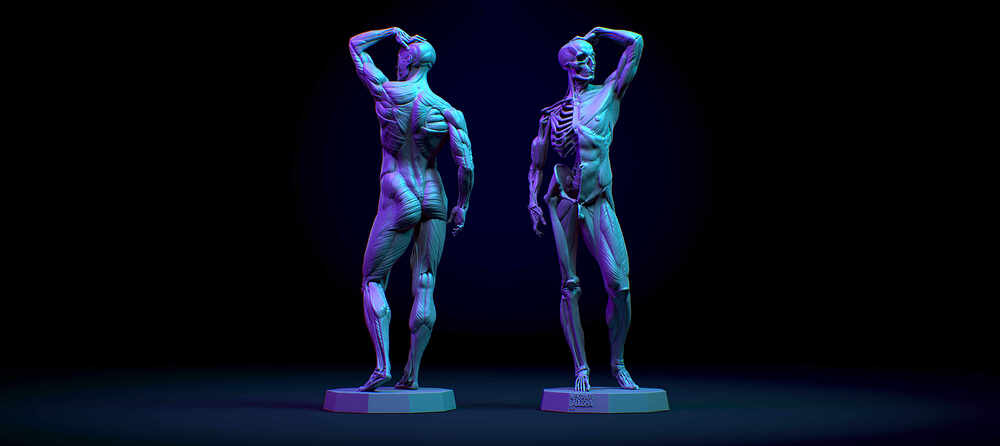 Facial_Ecorche_miniature_Camera_all2_059