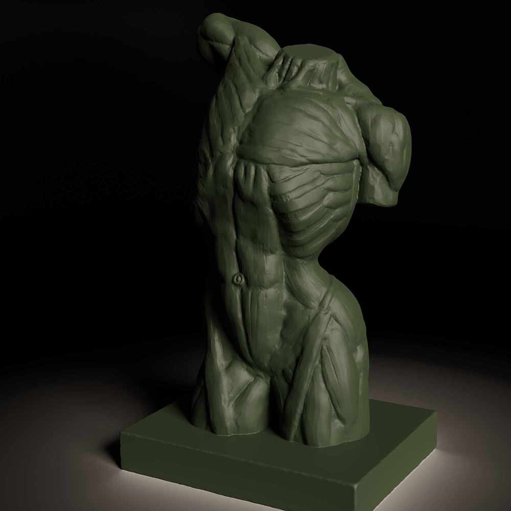 Torso_Render1_Blender