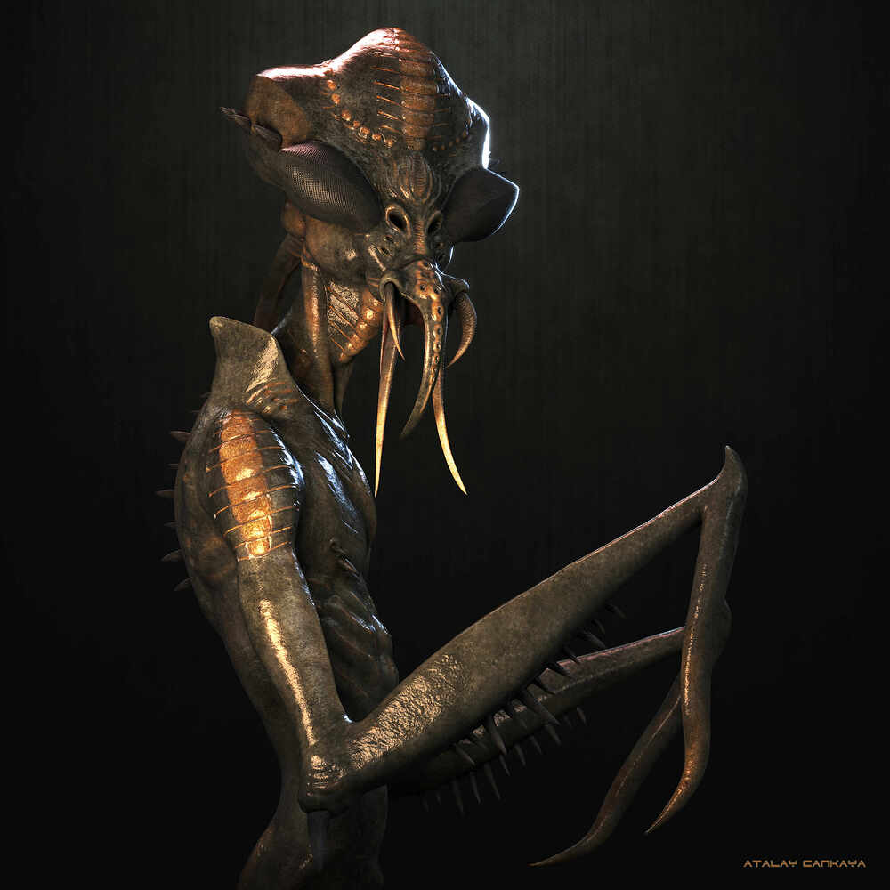 Hunter Insect 1