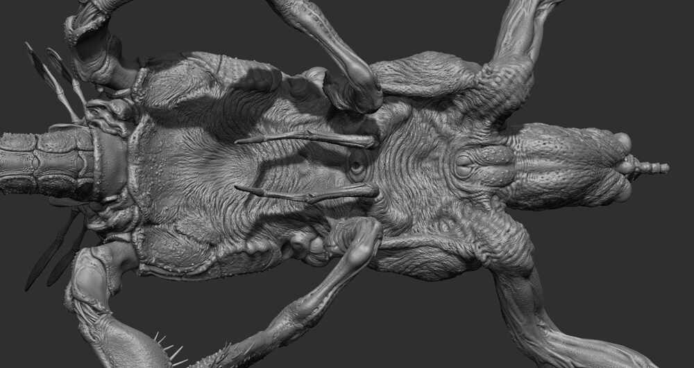 ZBrush Document26