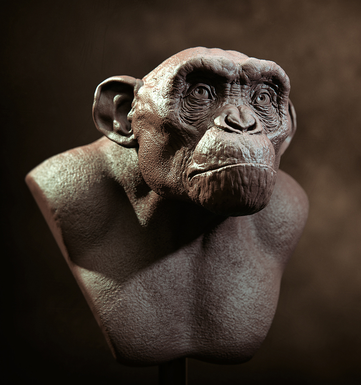 ape 002