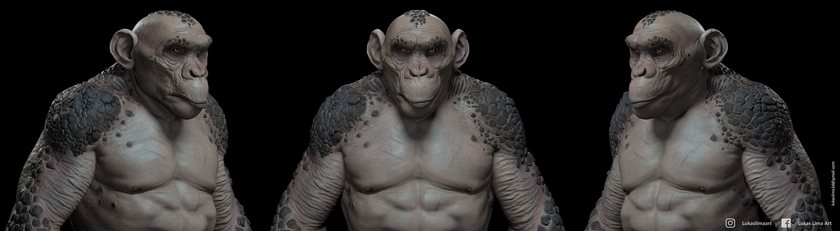 Preview_Marmoset