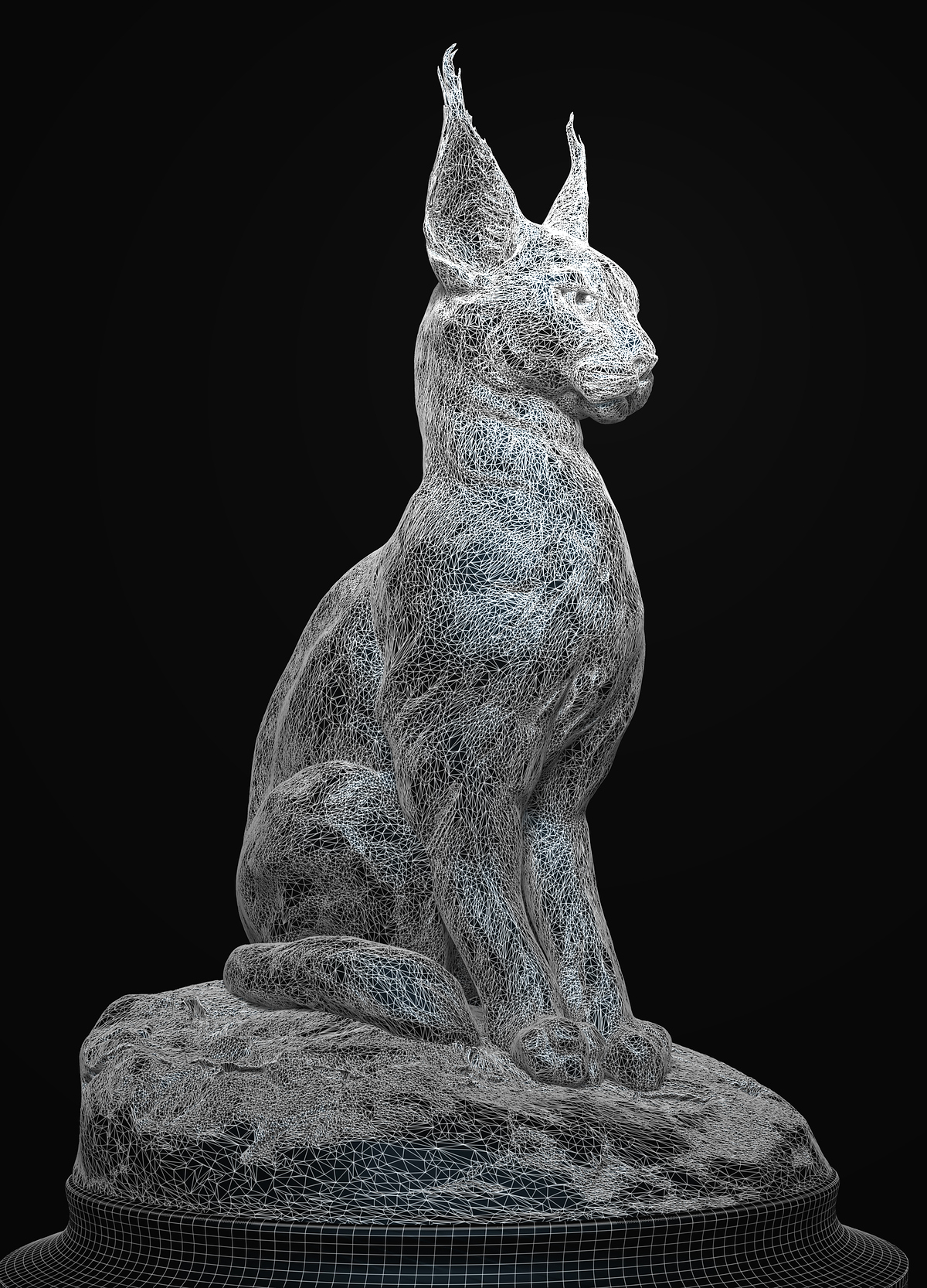 Wired%20Caracal_3
