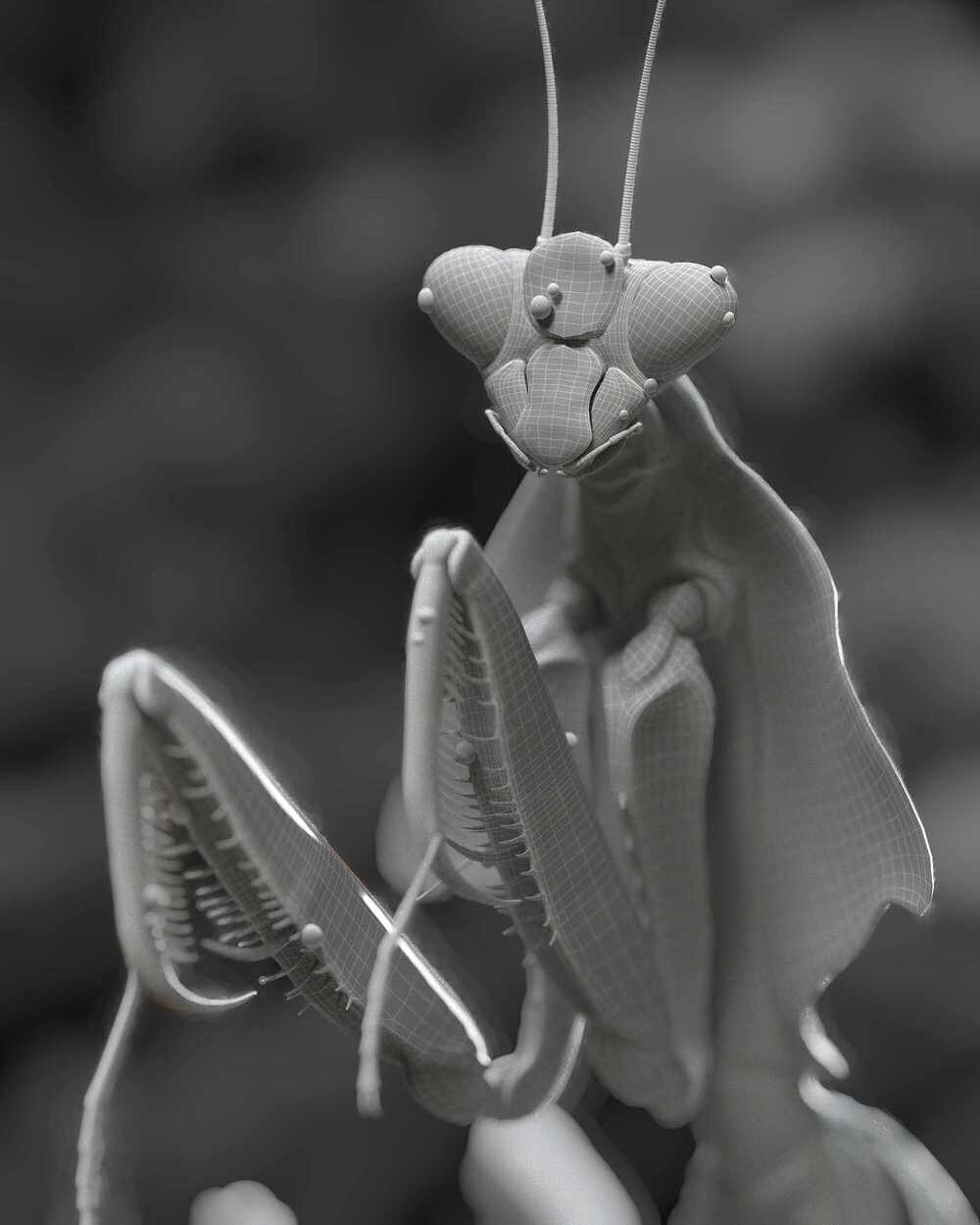 leaf_mantis_art_render_v06_comp_clay