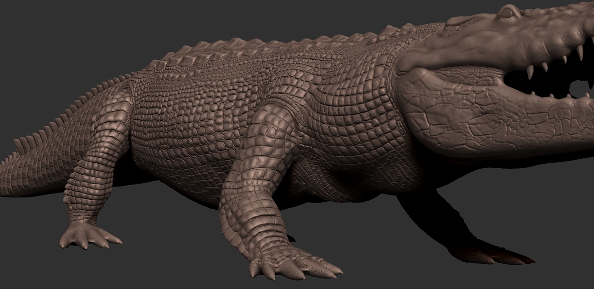 Croc_01