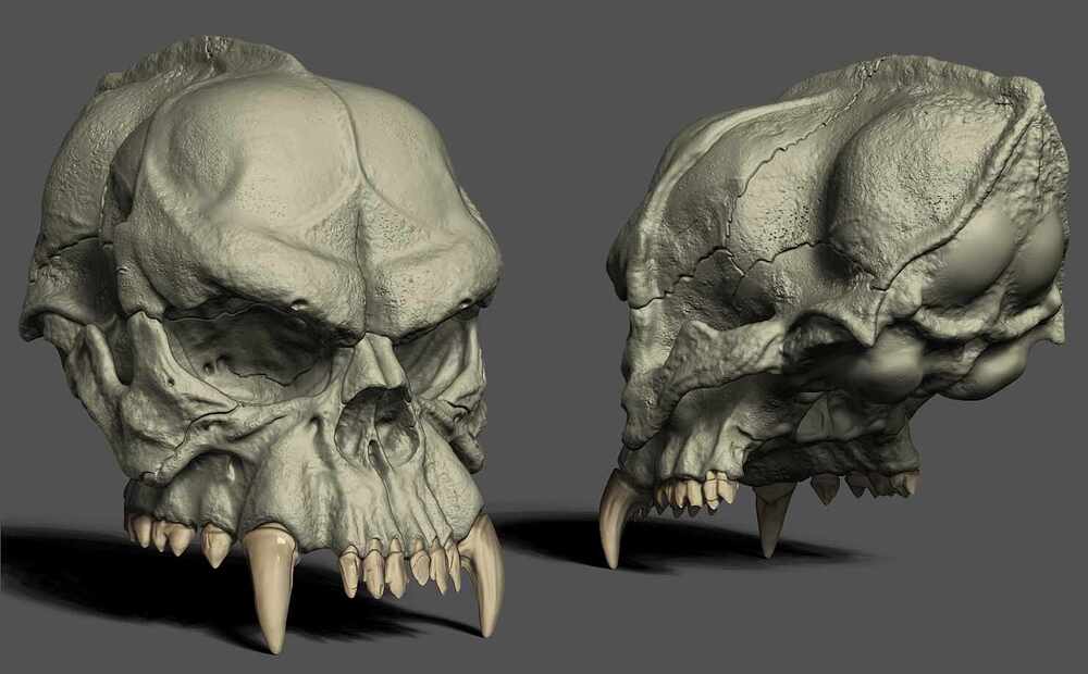 BB-Skull-Detailed