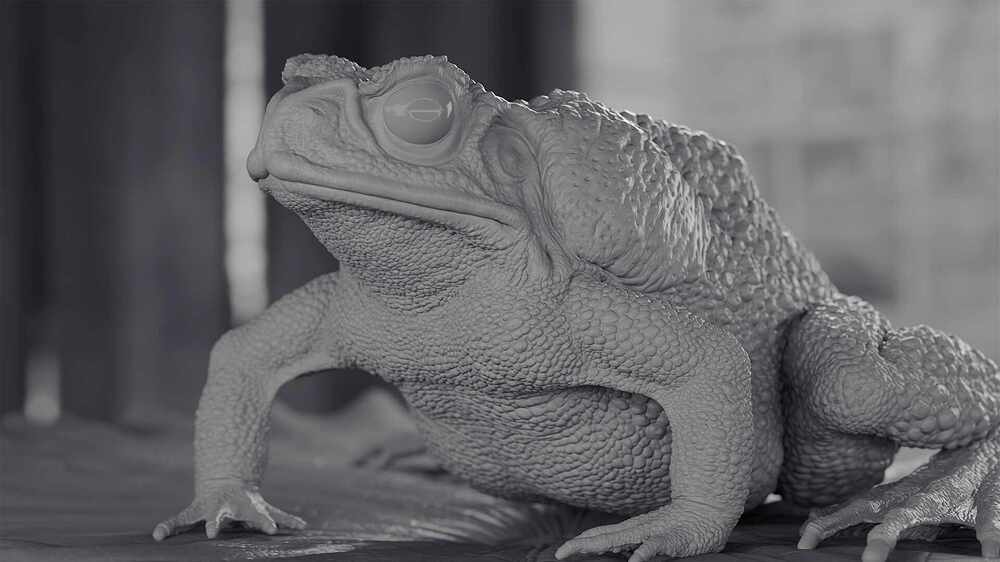 toad_short21