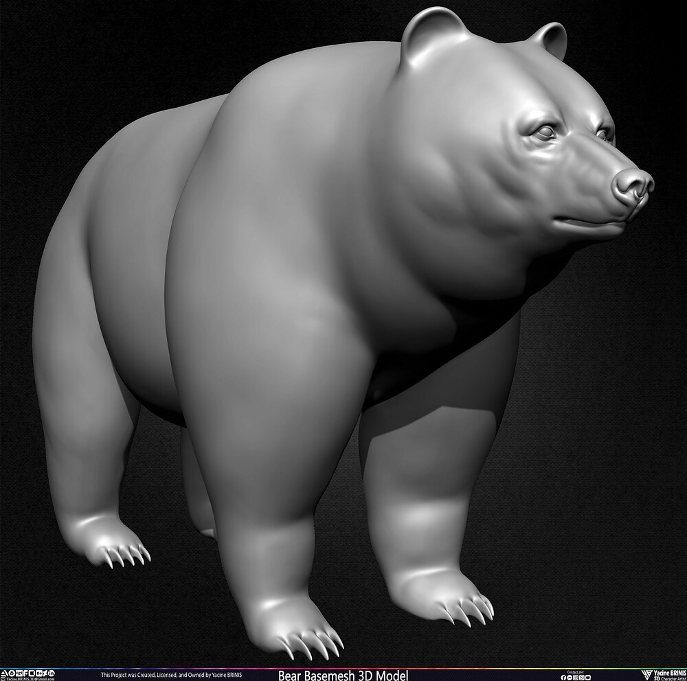 Bear Basemesh 3D Model Sculpted by Yacine BRINIS Set 006