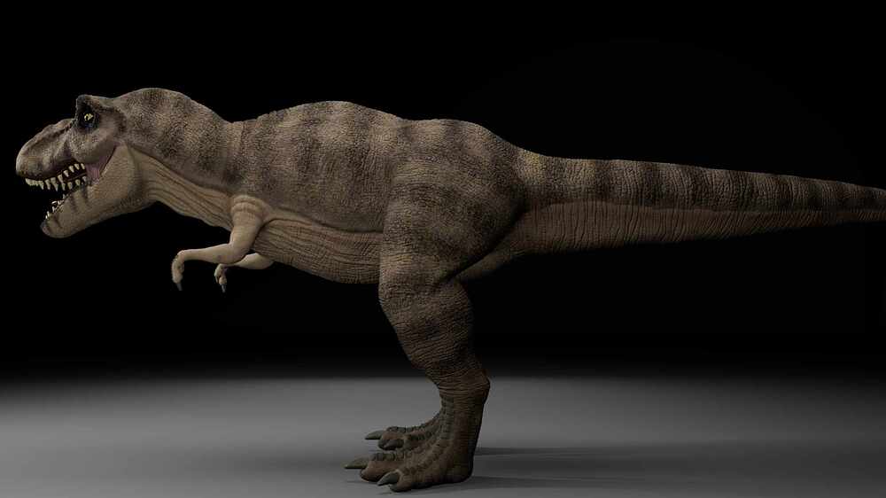trex_3