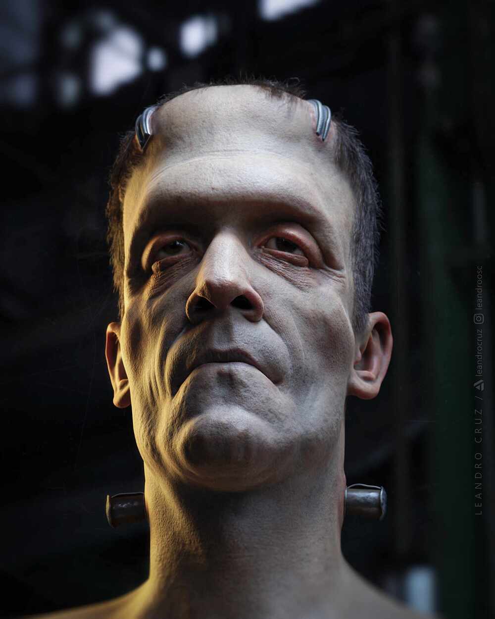 Portrait_frank_pos