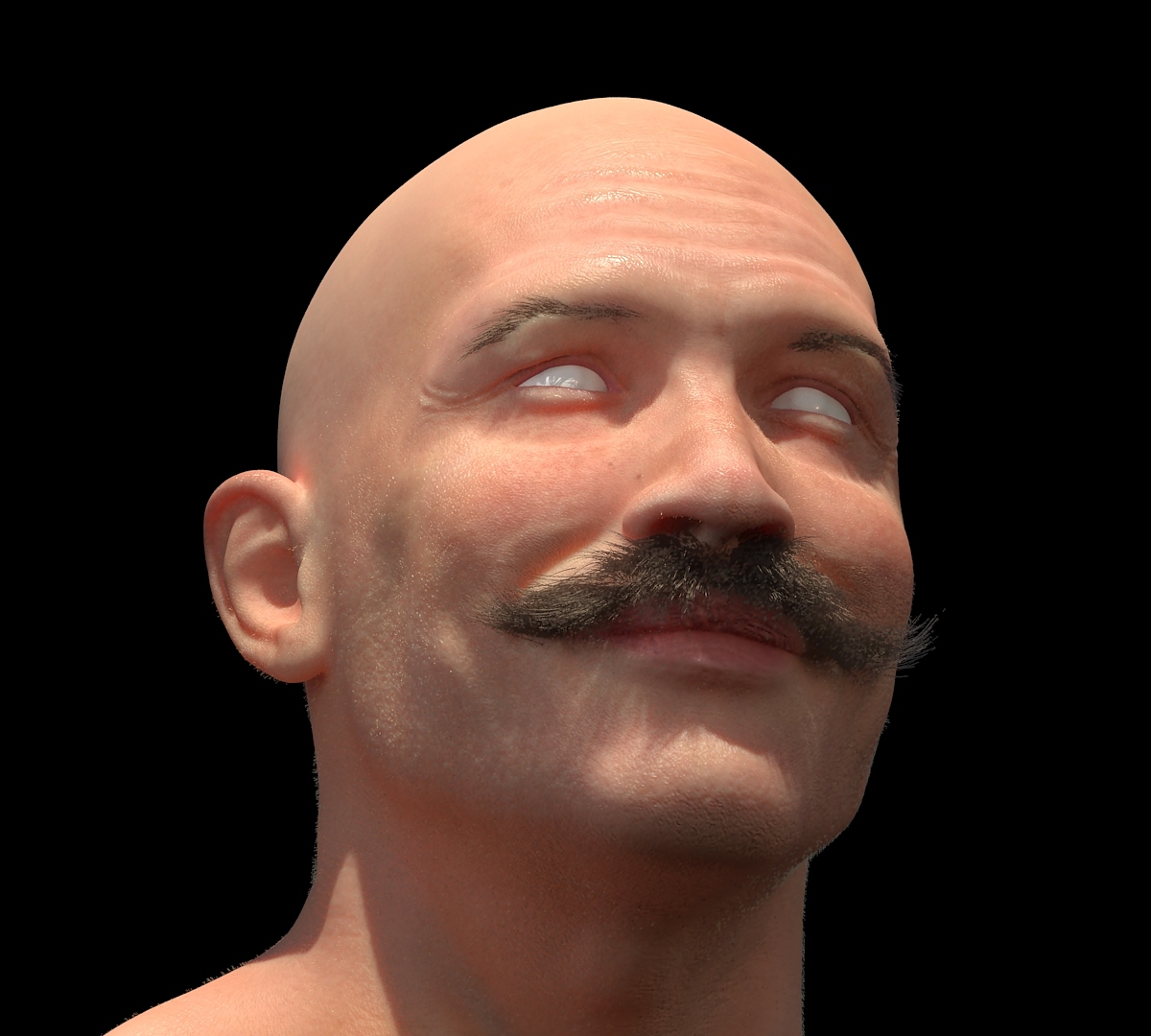 12.jpg