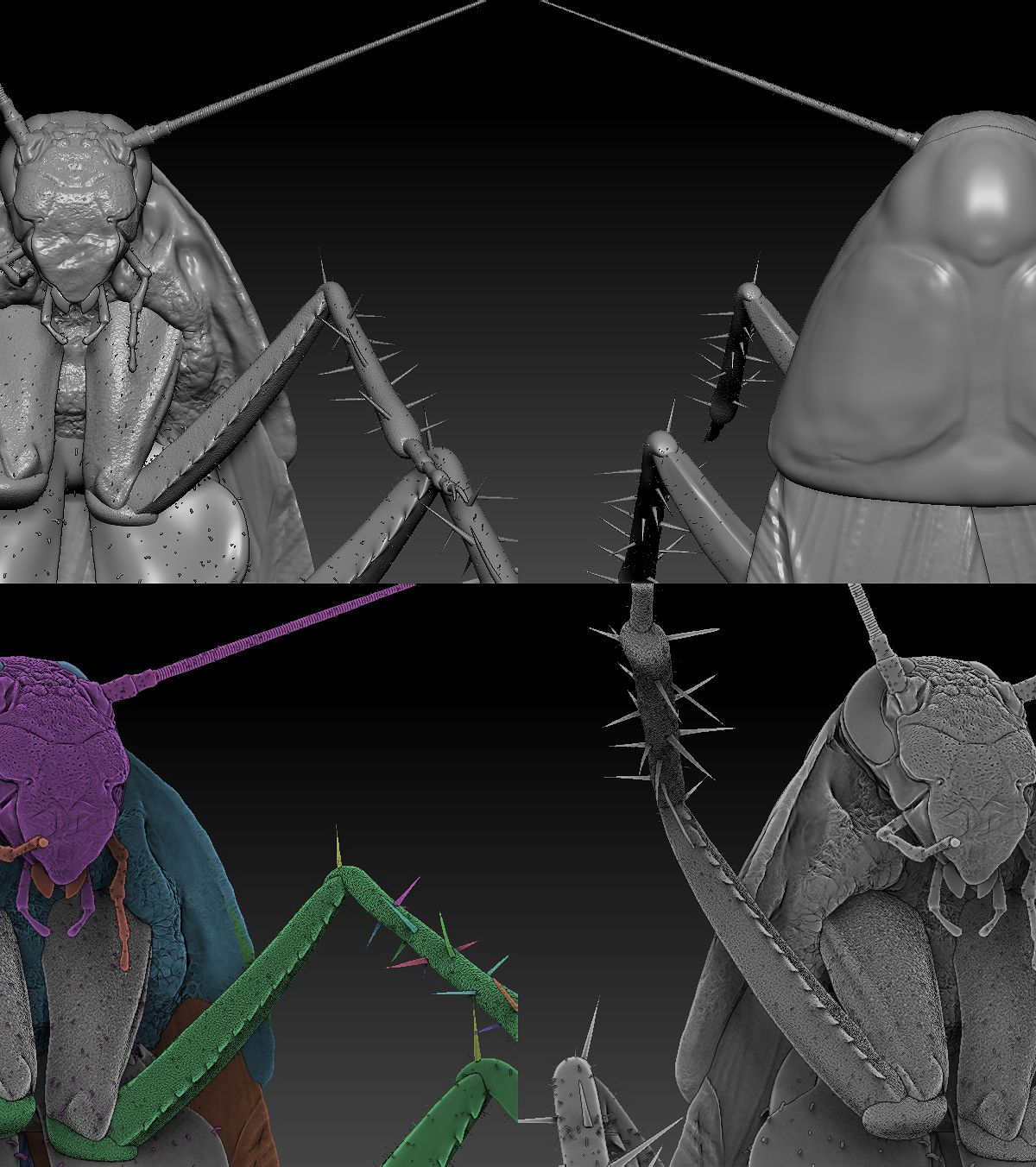 ZBrush Document14.jpg