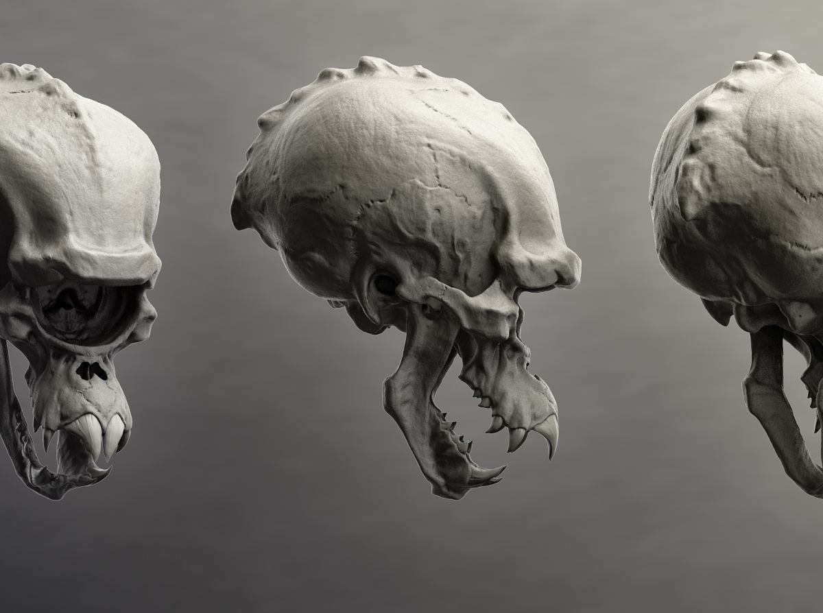 Morloc_skull_Comp_v001.jpg