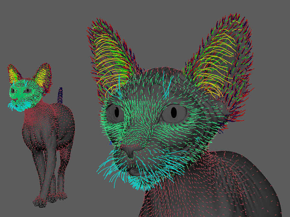 Yeti