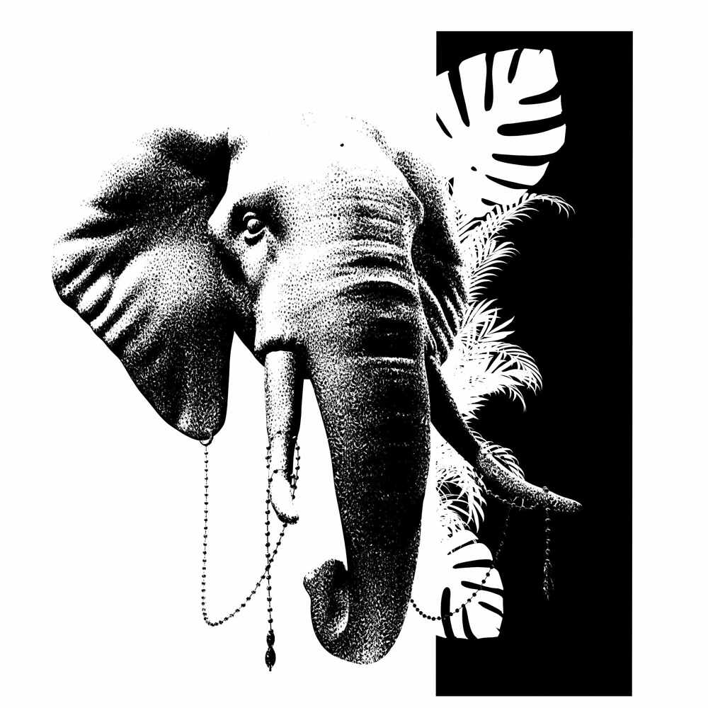 6_elephant_encrage