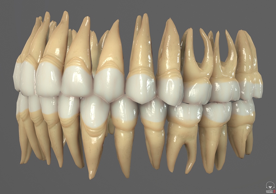 Toolbag_screenshot_09