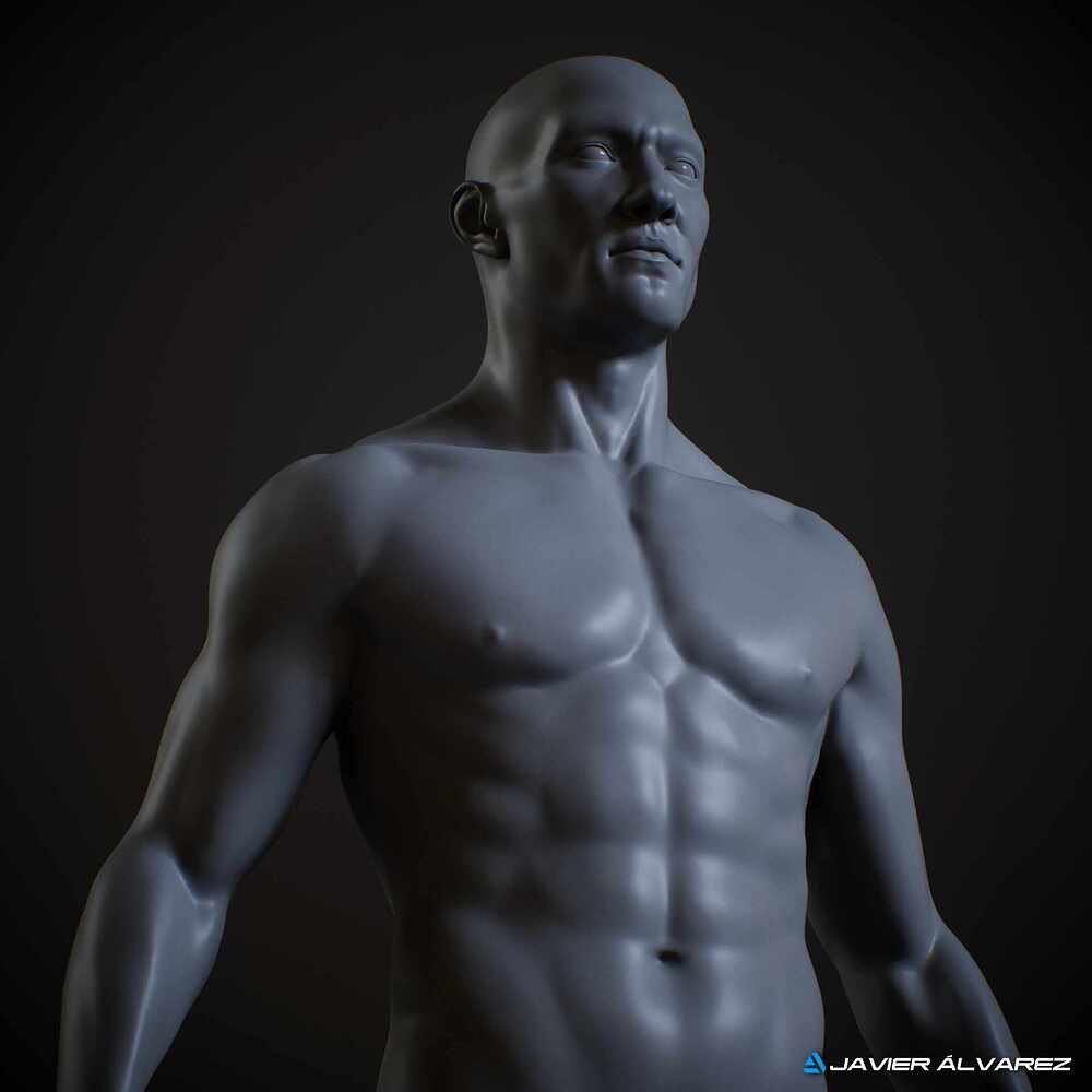 MaleAnatomyJAlvarez_2