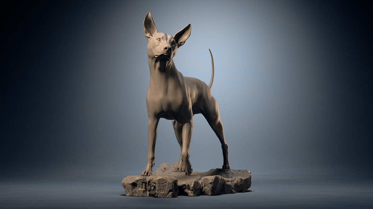 PeruvianDogTurntable_001