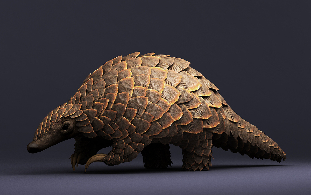 02_Pango