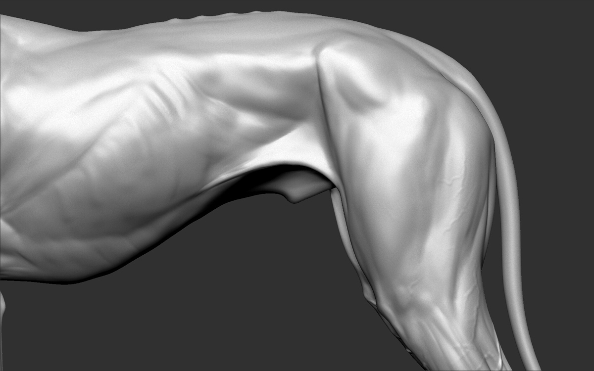 a_-models-16
