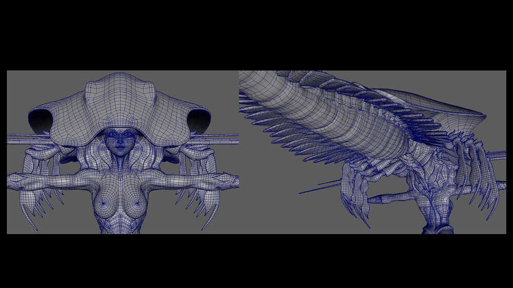 Prawn_Girl_011