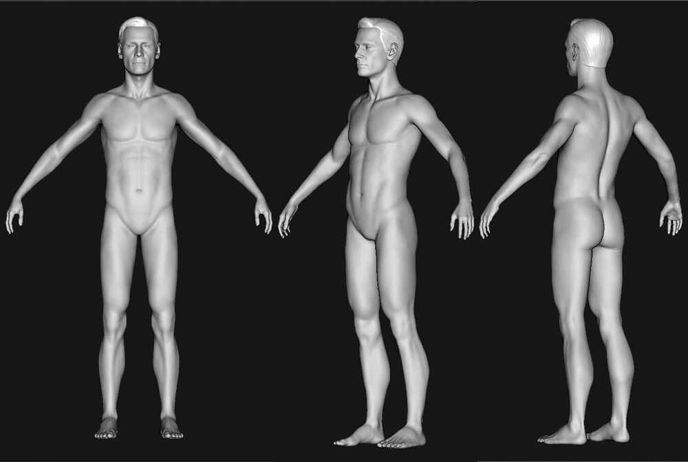 Body