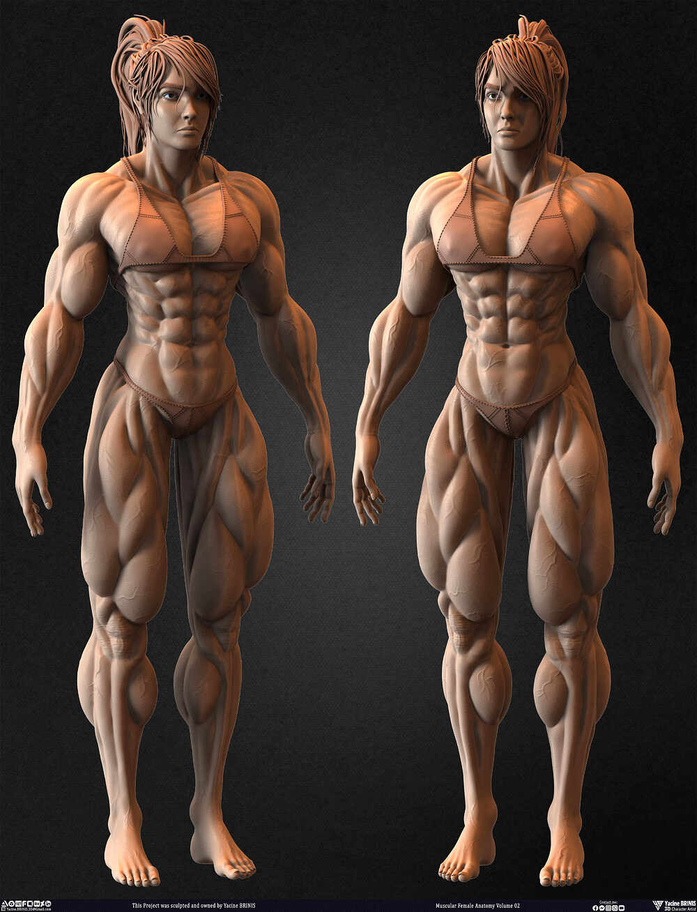 Muscular Female anatomy Volume 02 sculpted by Yacine BRINIS 017