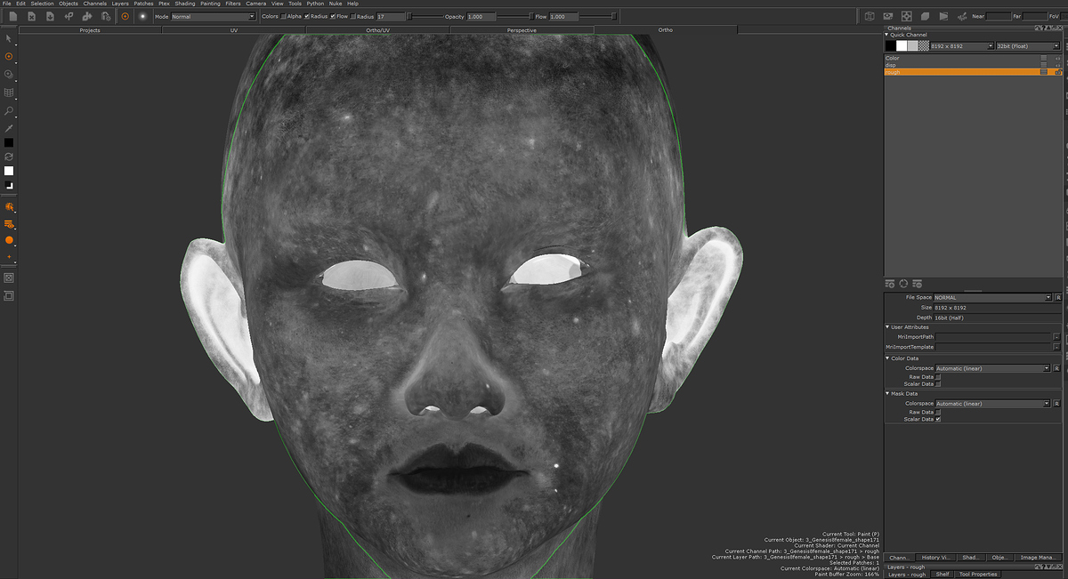 mari_rough_001