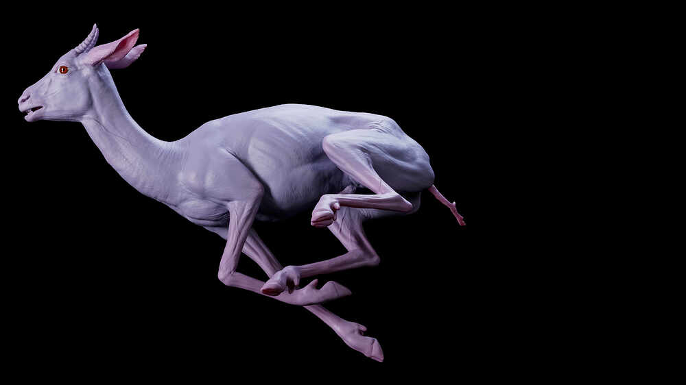 1005