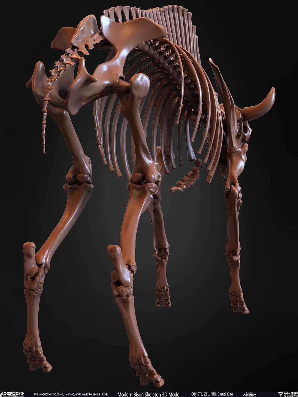 Modern Bison Skeleton 3D Model Sculpted by Yacine BRINIS Set 027