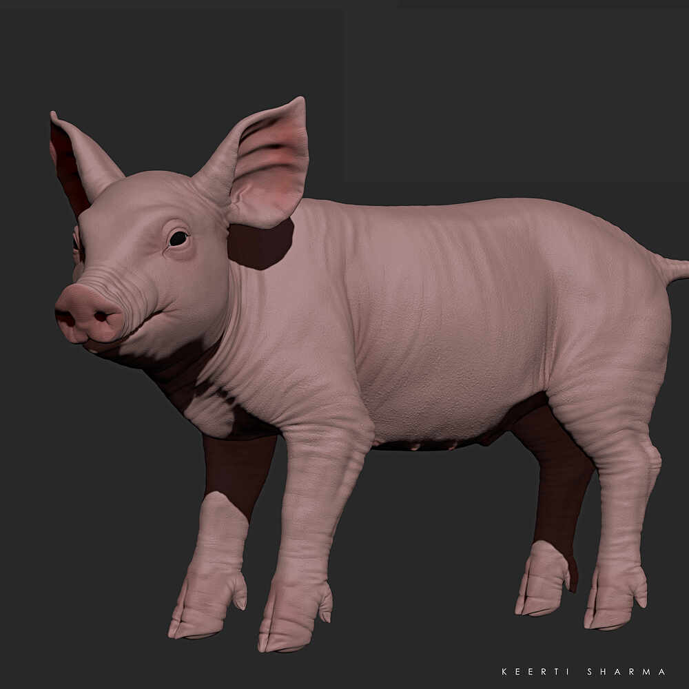main render3