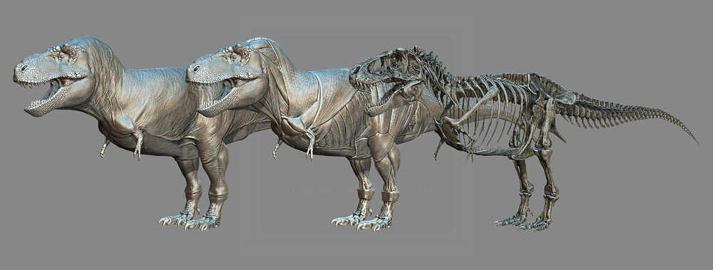 BPR_Composite Trex