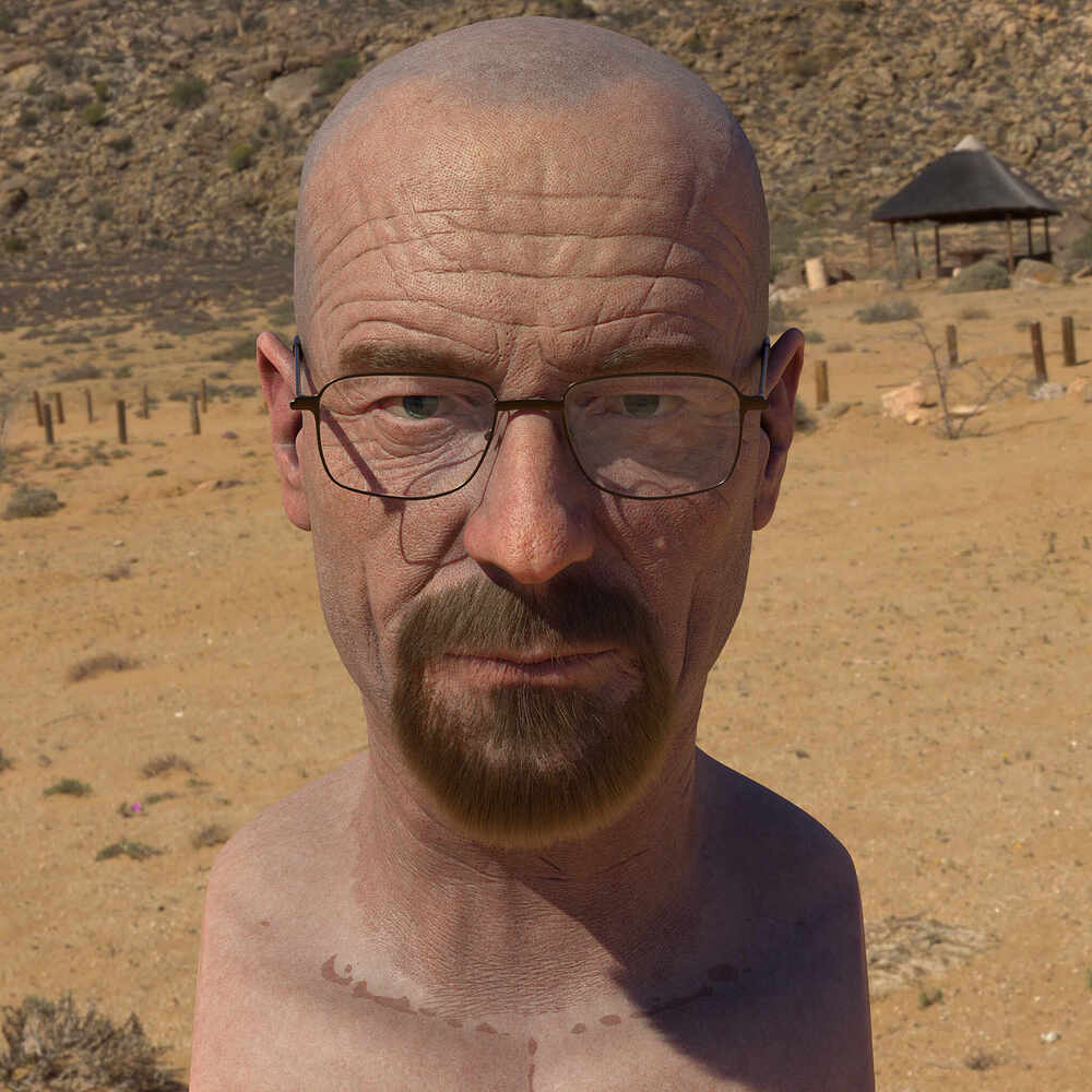 WalterWhite.0009De