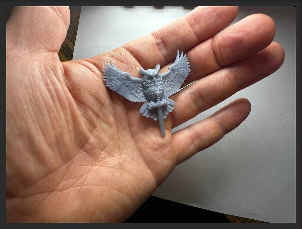 616798596_3767710503538523_3324183069417352465_n