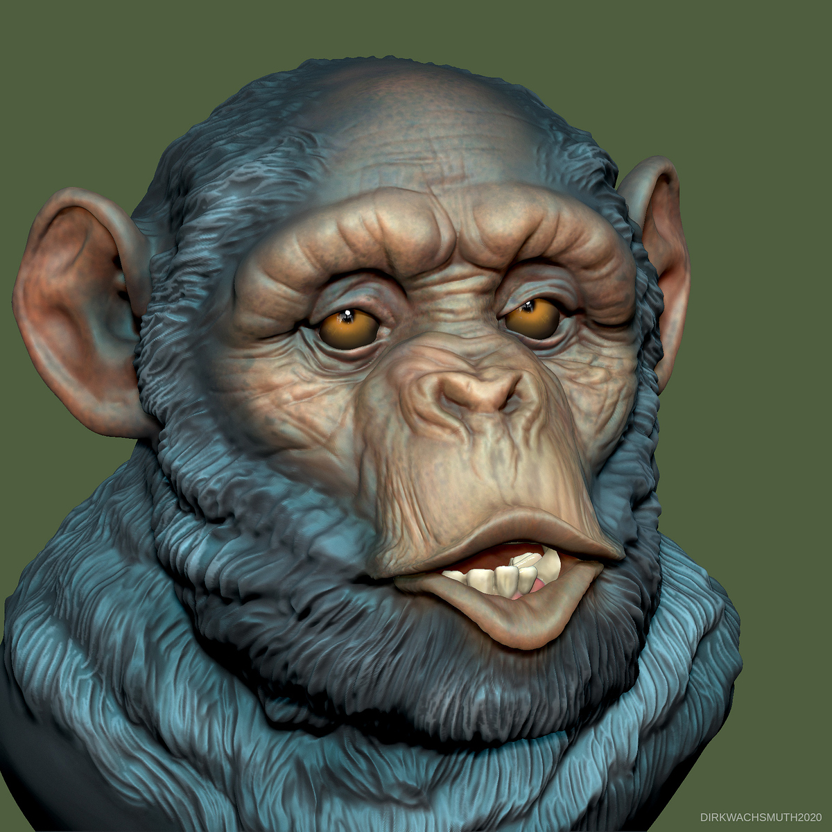 chimp_05