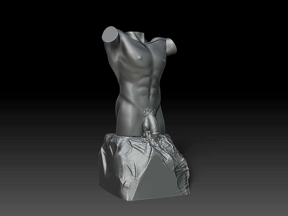 Male Torso Sculpture - 1