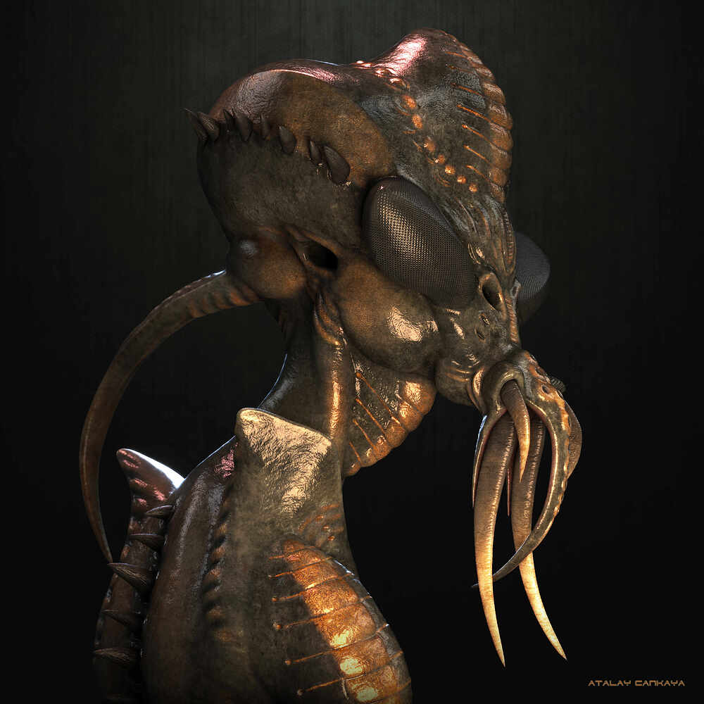 Hunter Insect 8