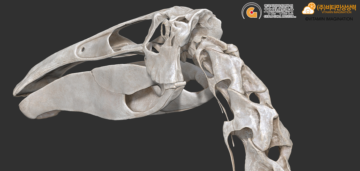 ZBrush_Document4