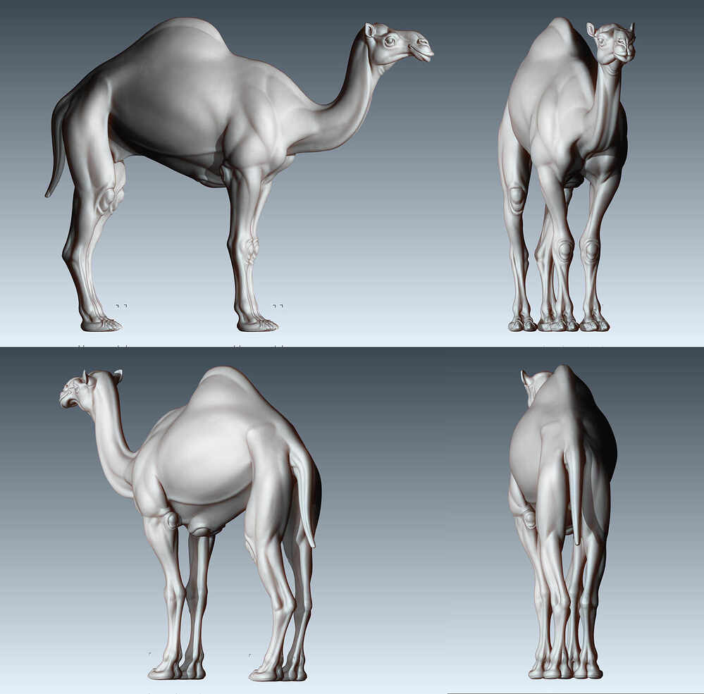 figure_ortho_light_side_hp_0305