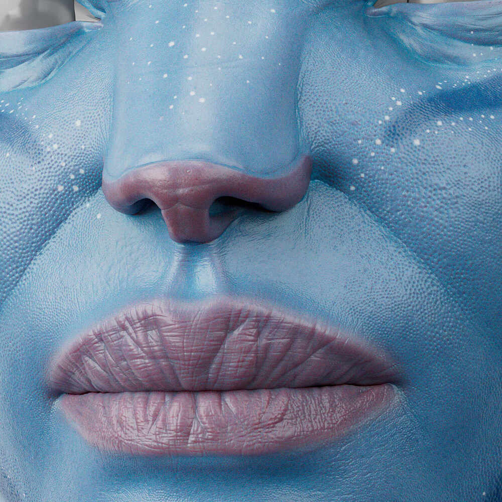 detail 3